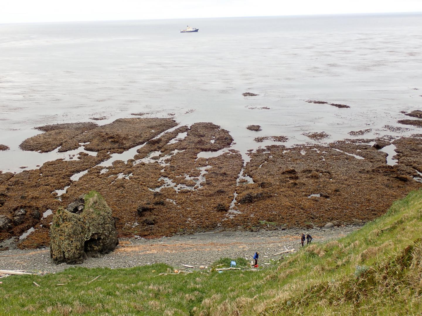 Hawadax Island seashore surveys