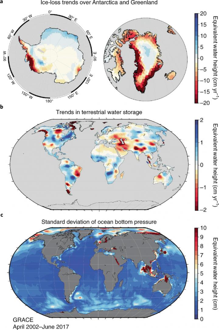 Global Representation of Trends and Variability in Ice and Water Mass Recovered by GRACE