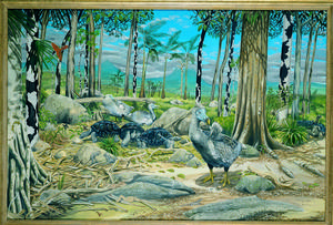 Dodo dry forest scene