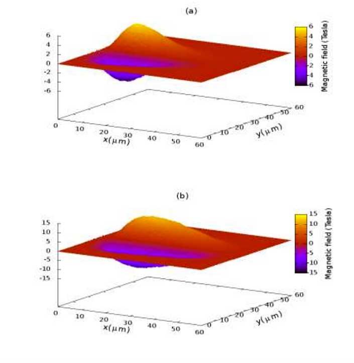 Self-Generated Magnetic Field of Laser Pulse