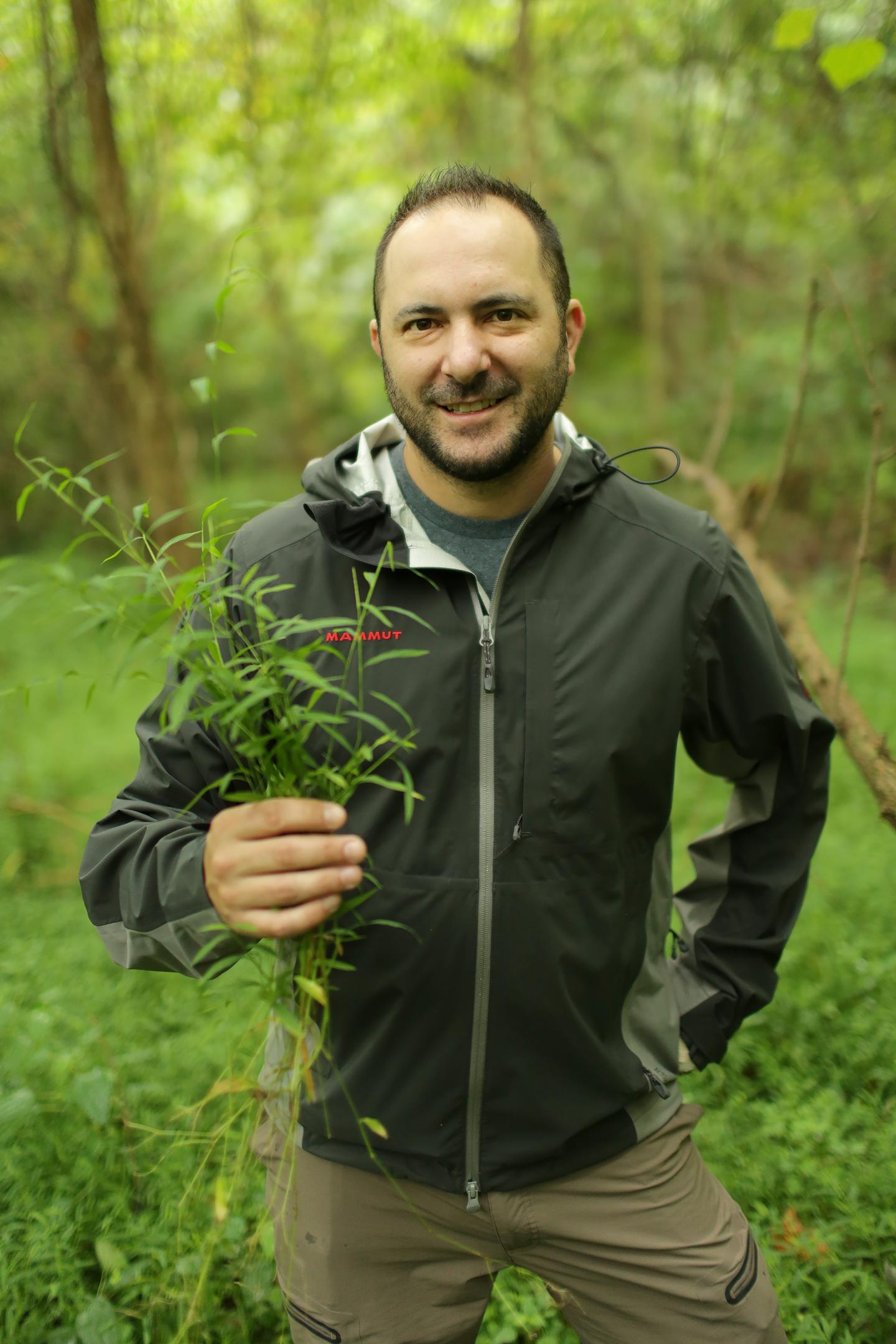 WVU Plant Biologist Craig Barrett Holds An Example of the Invasive Species Japanese Stiltgrass