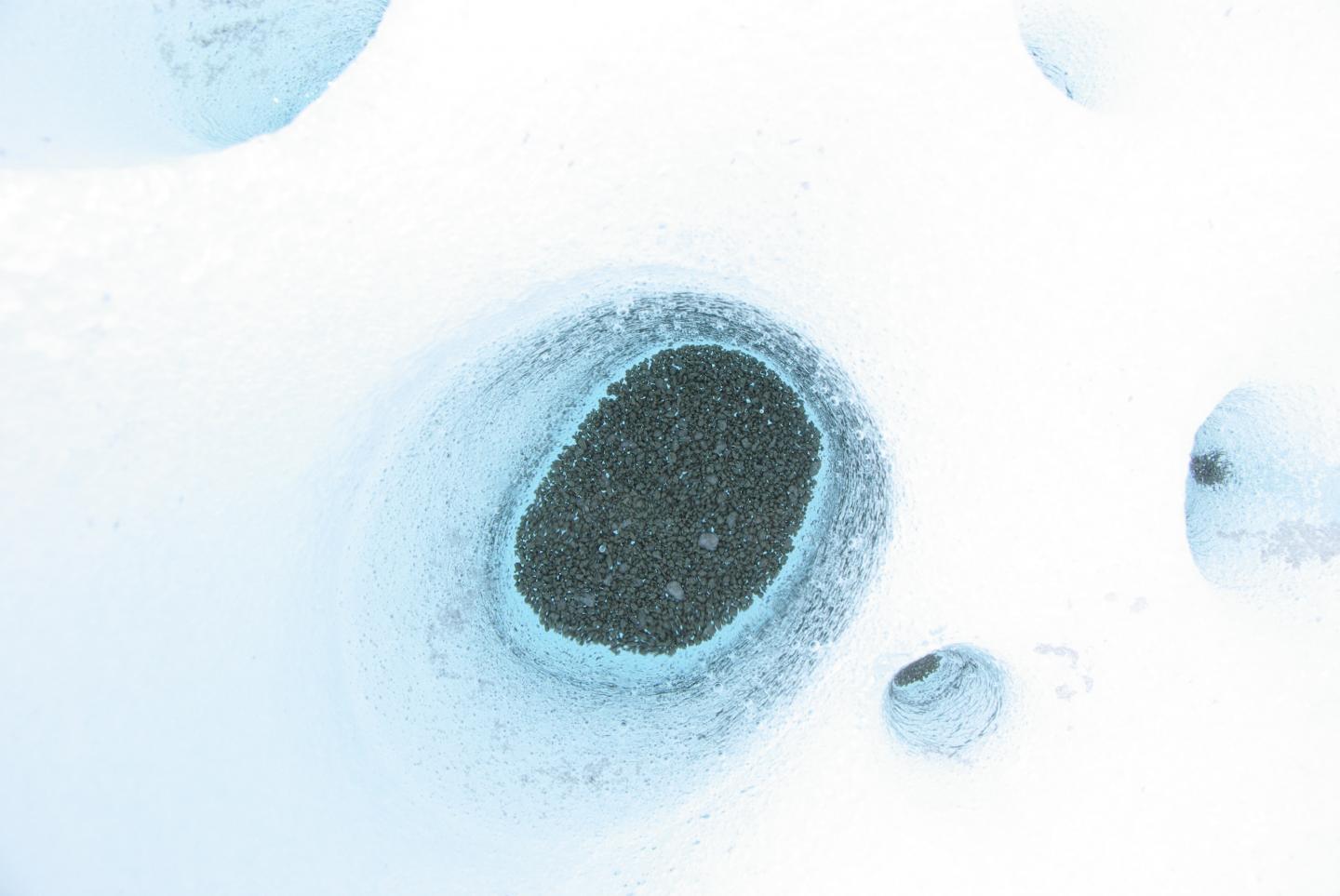 Cryoconite Holes