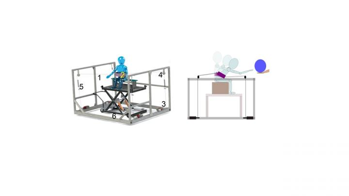 Robotic Trunk Support Trainer (TruST)