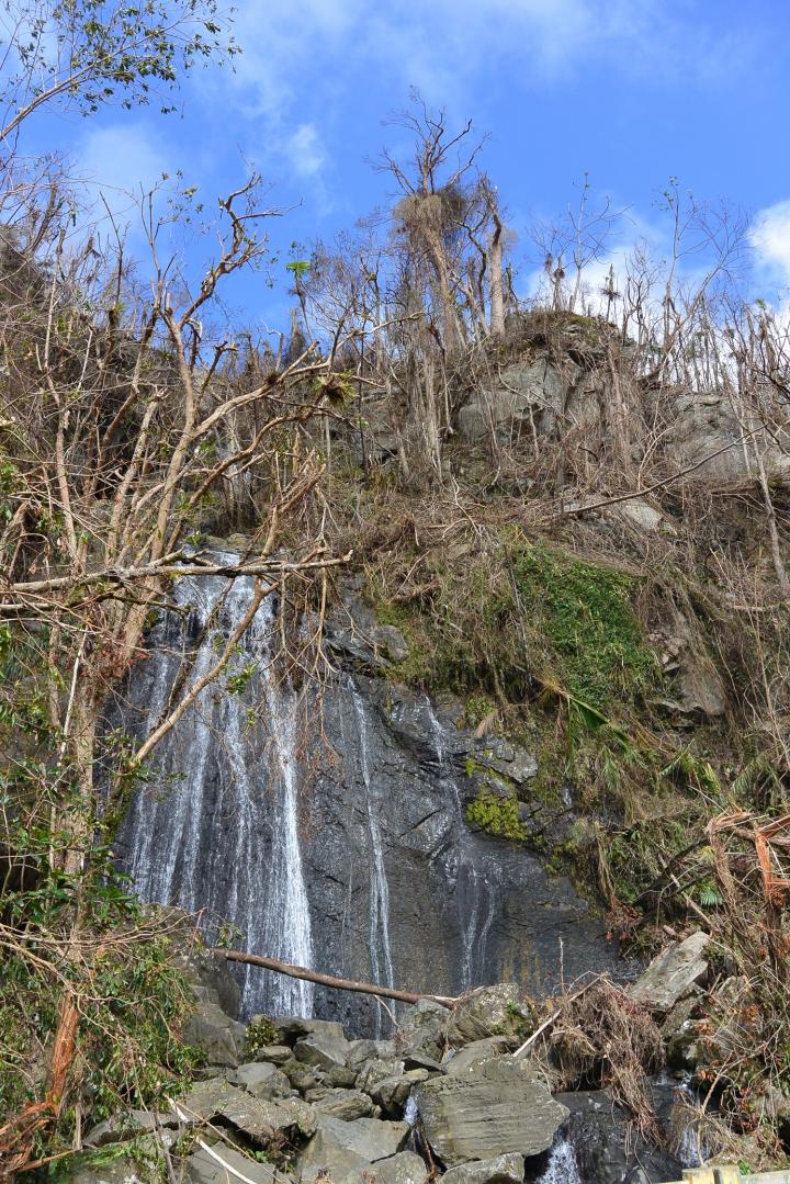 A Luquillo Waterfall after the Storm