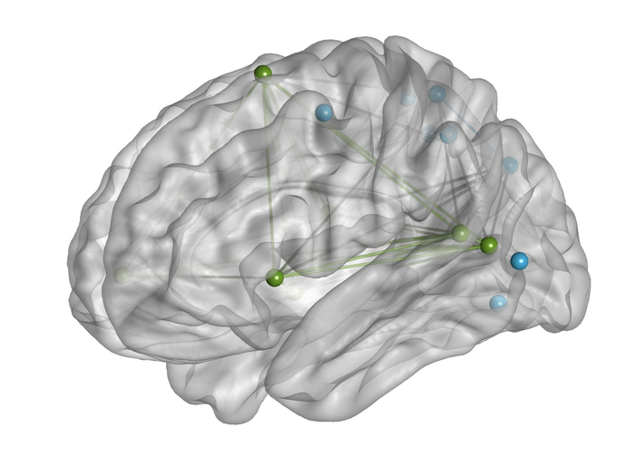 The VAN-DAN network of the brain.