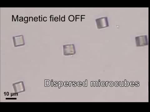 A 'Magnetic Edge' Allows Tiny Cubes to Self-Assemble On Demand (4 of 10)