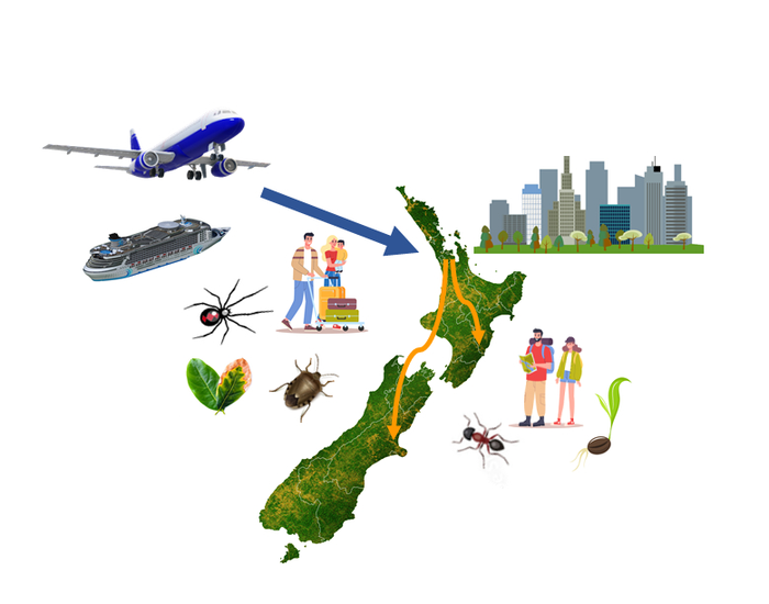 International and domestic tourism activity correlates to detection of exotic organisms