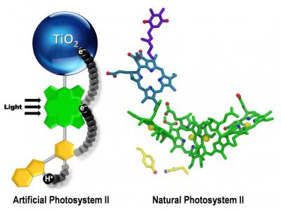 An Artificial Photosynthetic Reaction Center