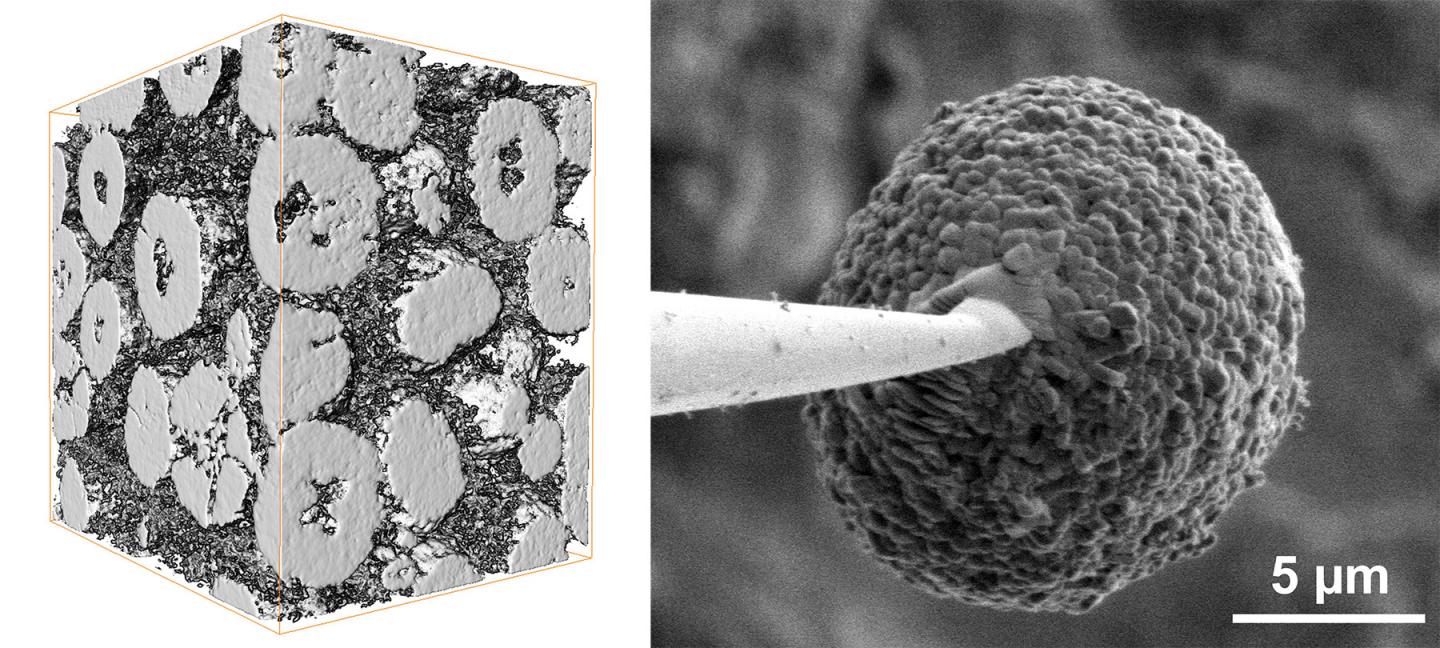 A Microscopic Battery Particle Welded to a Needle Tip
