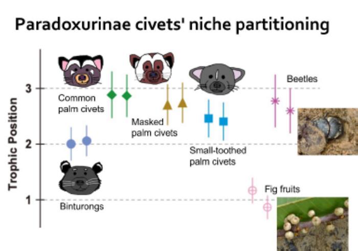 Paradoxurinae civet's niche partitioning