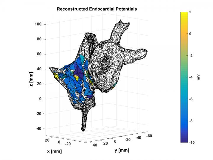 Noninvasive Maps of Electrochemical Potentials