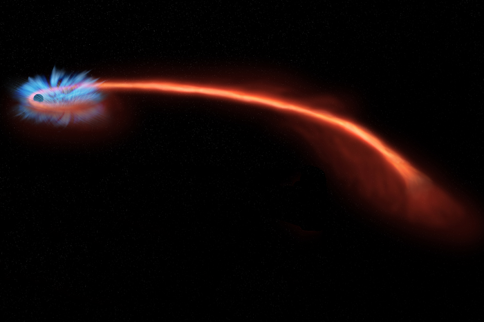 Tidal disruption of star by massive black hole