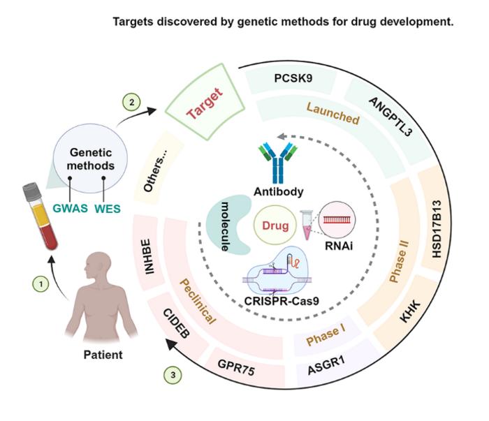 Progress in drug discovery based on targets with favorable LOF variants identified by WES, WGS, and GWAS.