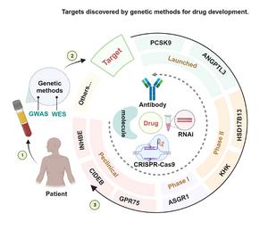 Progress in drug discovery based on targets with favorable LOF variants identified by WES, WGS, and GWAS.