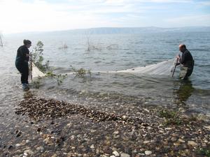 Sampling Near the Sea of Galilee