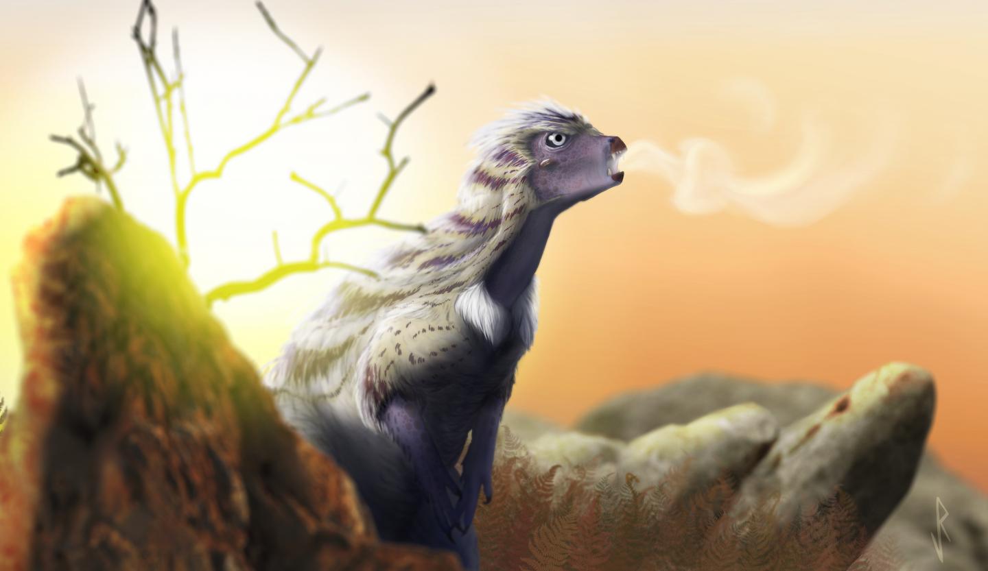 Reconstruction of Heterodontosaurus Tucki