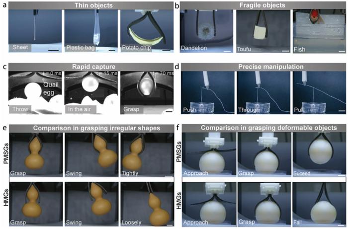 Porous Magnetic Soft Grippers for Fast and Gentle Grasping of Delicate Living Objects