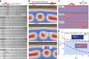 Mechanism of antiskyrmion sliding along stripe domains in comparison with ferromagnetic background