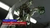 A Robot that Climbs Slick Glass Walls with Gecko Feet (1 of 2)