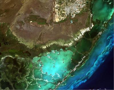 Satellite Image of South Florida Wetlands