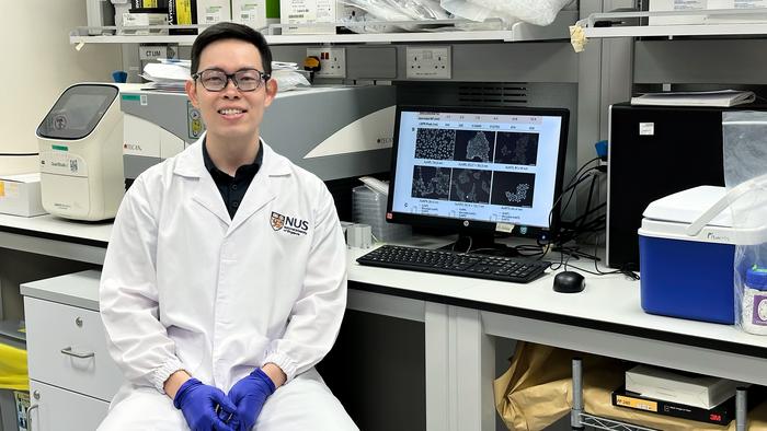 NUS researchers pioneer DNA-tagged gold nanoparticles for targeted cancer treatment