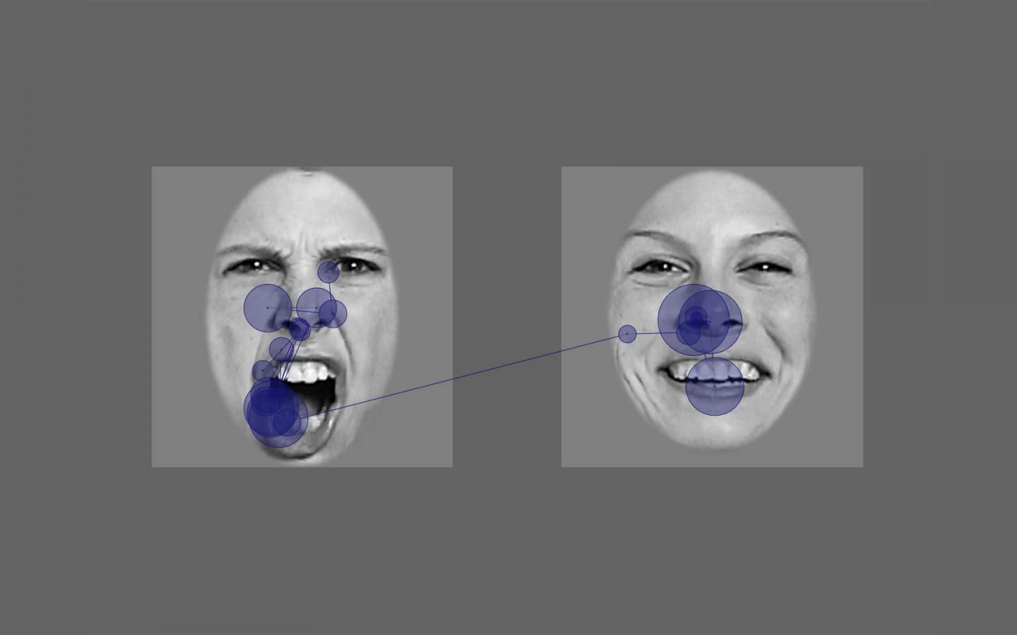 Durations of Ocular Fixations