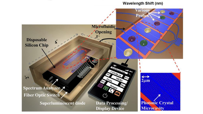 Sample optical detection platform for rapid COVID-19 diagnosis.