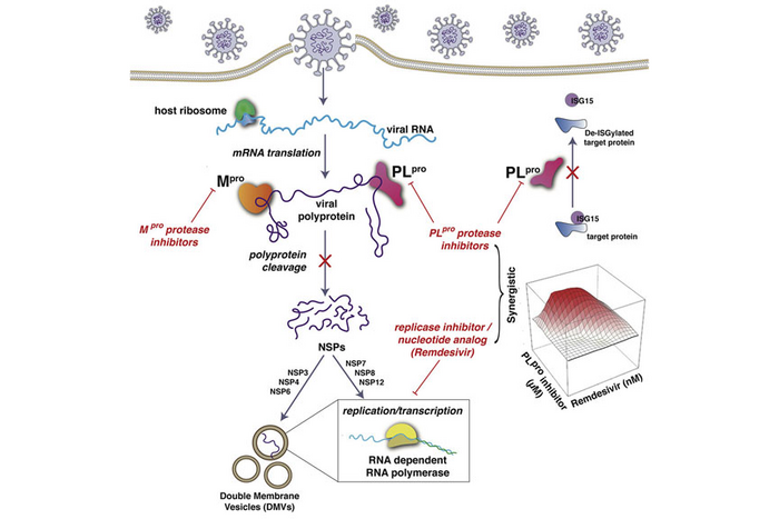 Graphical abstract