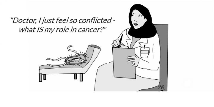 Microbes and Cancer: a Complex Relationship