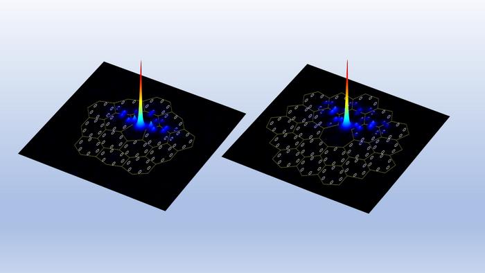 Nonlinear disclination states in topological arrays with pentagonal and heptago-nal disclination cores.