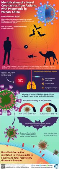 Identifying the New Wuhan Coronavirus