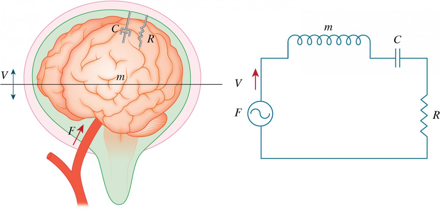 Theoretical Analysis