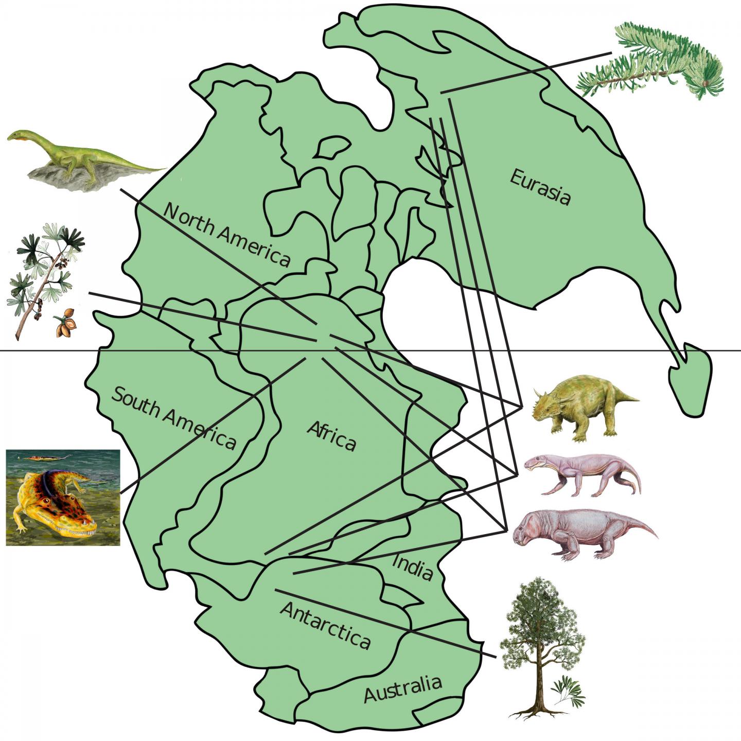 Permian Map