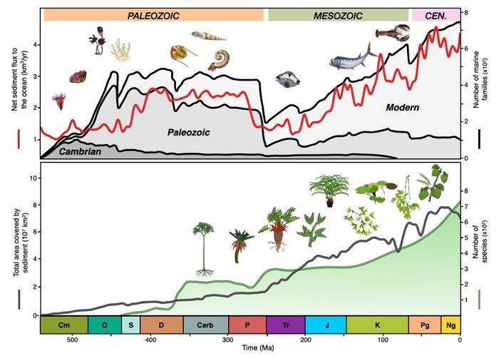 Sediment flux v biodiversity