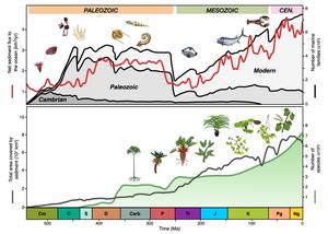 Sediment flux v biodiversity