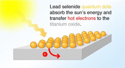 Hot Electron Transfer with Quantum Dots