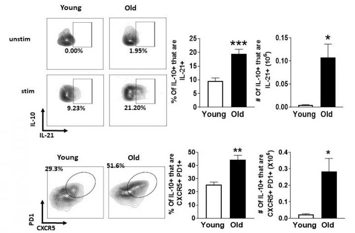 How Immune Systems Change During Aging