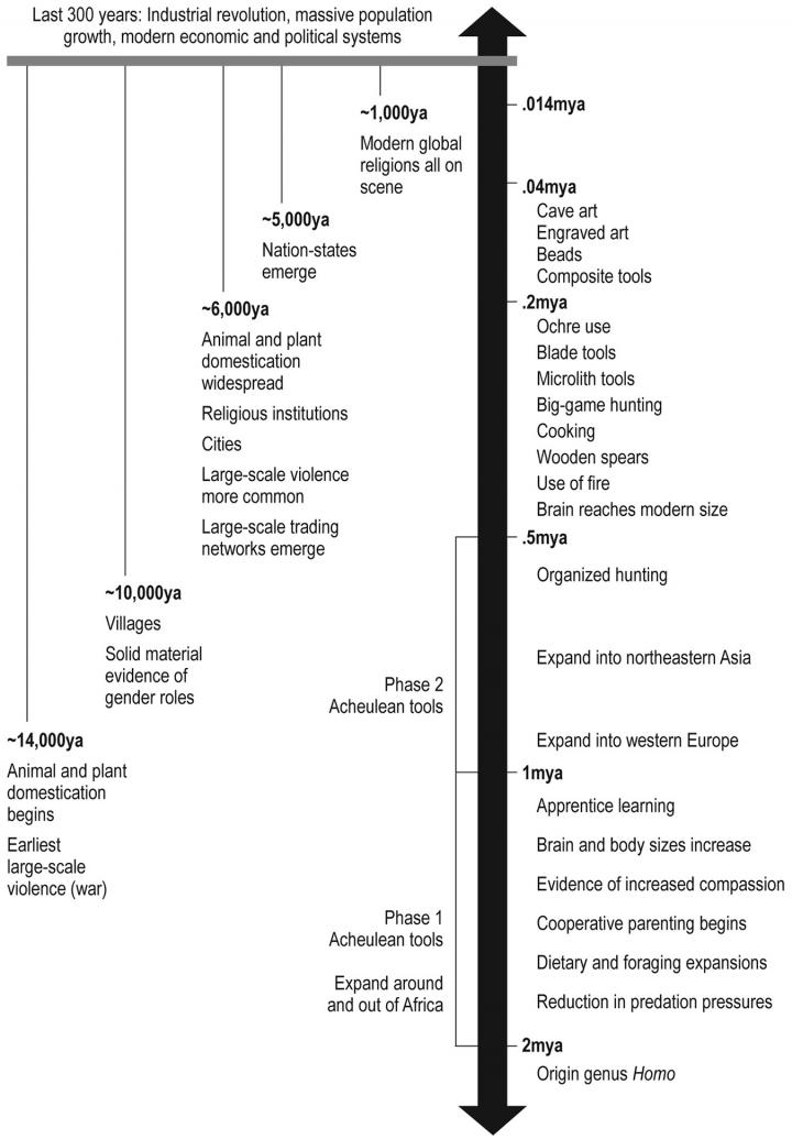 A Timeline of the Major Events/Outcomes in the Human Lineage across the Pleistocene 