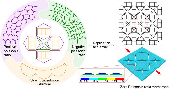 The design principle of zero Poisson’s ratio structure.