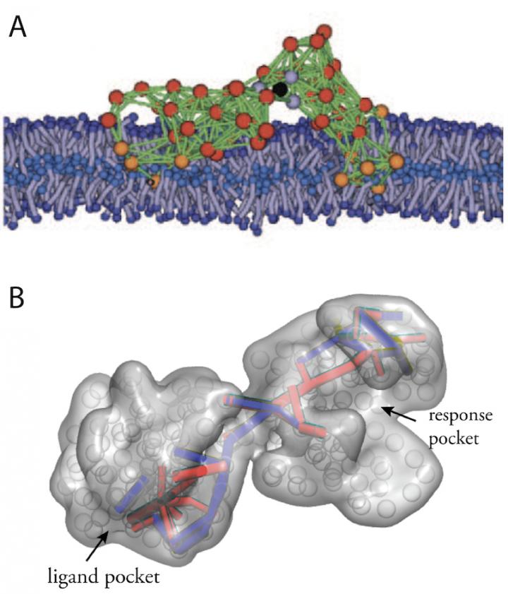 Figure 2 Designed Machines