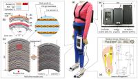 Overview of the Prototype of the PVC Gel Soft Actuator-Based Walking Assist Wear