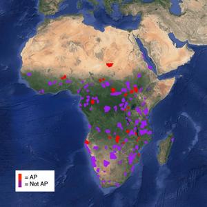 African Park Anchor Sites