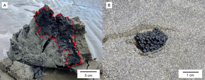 Images of collected samples