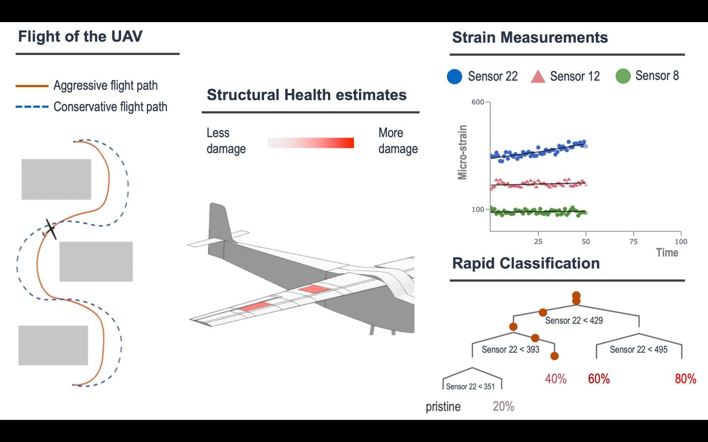 Structural Health Schematic