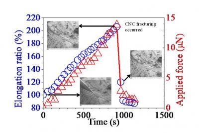 Carbon Nanocoils Tensile Test