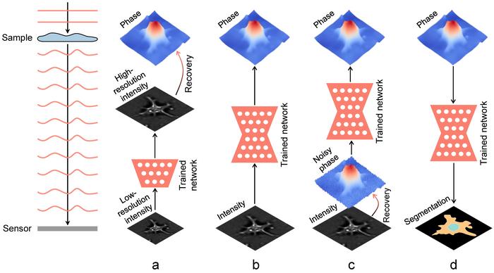 Some examples of deep learning for phase recovery.