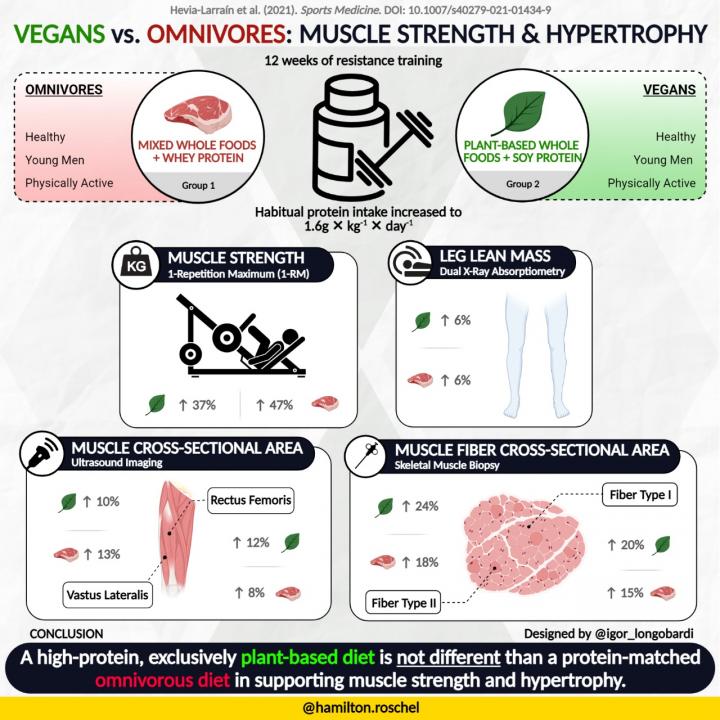 Vegans versus Omnivores