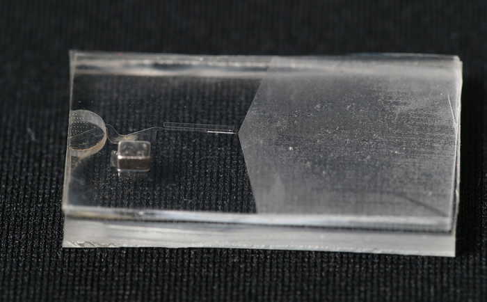 The microfluidic device [IMAGE] | EurekAlert! Science News Releases