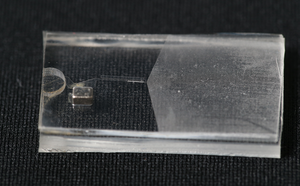 The microfluidic device