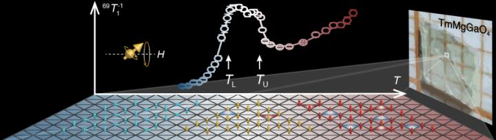 NMR spin-lattice relaxation rate measurement of quantum magnet TMGO